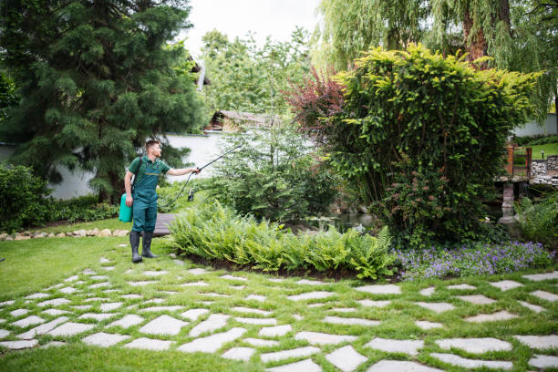 Best Tree Risk Assessment  in Hobart, WA